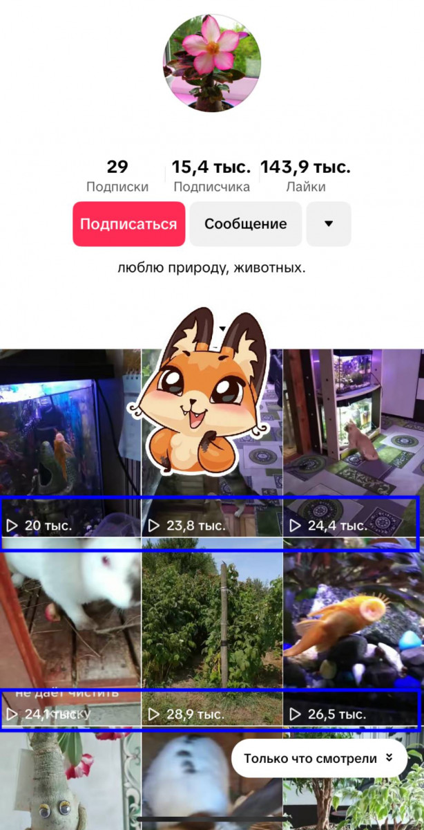 получить просмотры тик ток