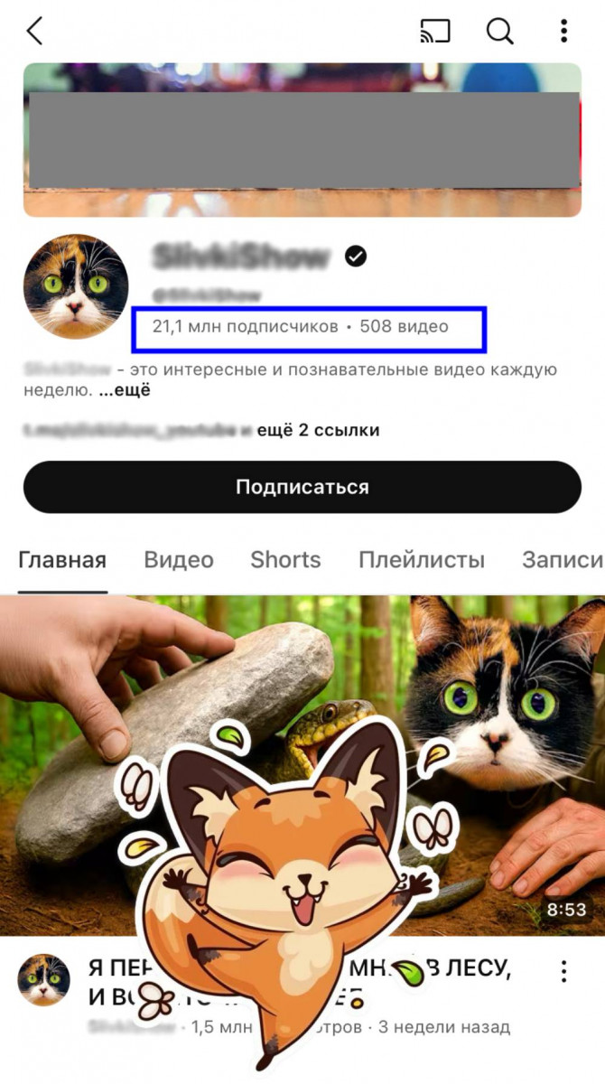 накрутка живых подписчиков ютуб