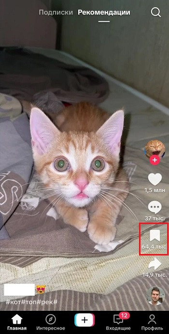 накрутить сохранения в тт