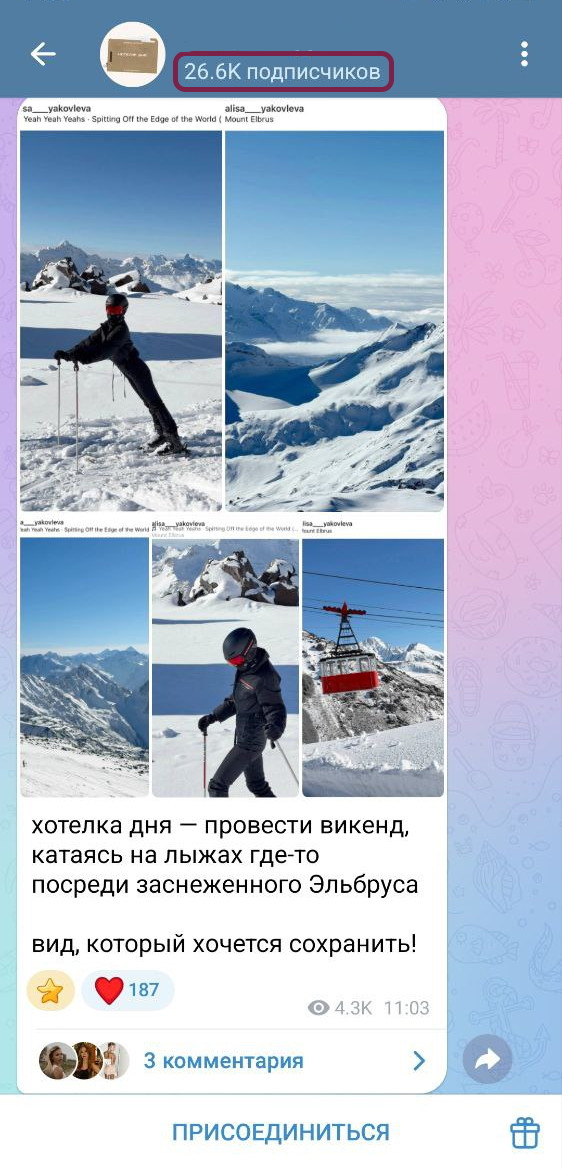 бесплатные подписчики тг быстро