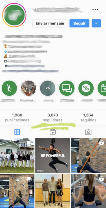 1000 seguidos instagram barato