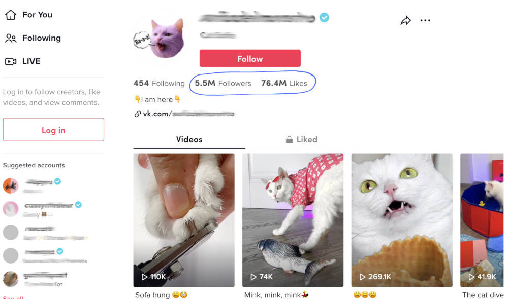 buy followers tiktok instant