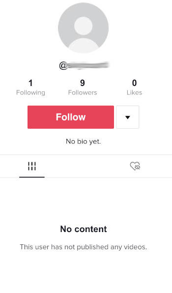 user bots tik tok channel