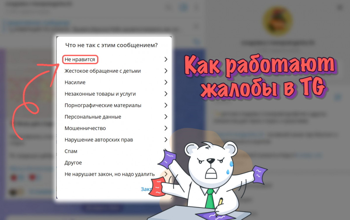Как работают жалобы в ТГ и для чего нужны